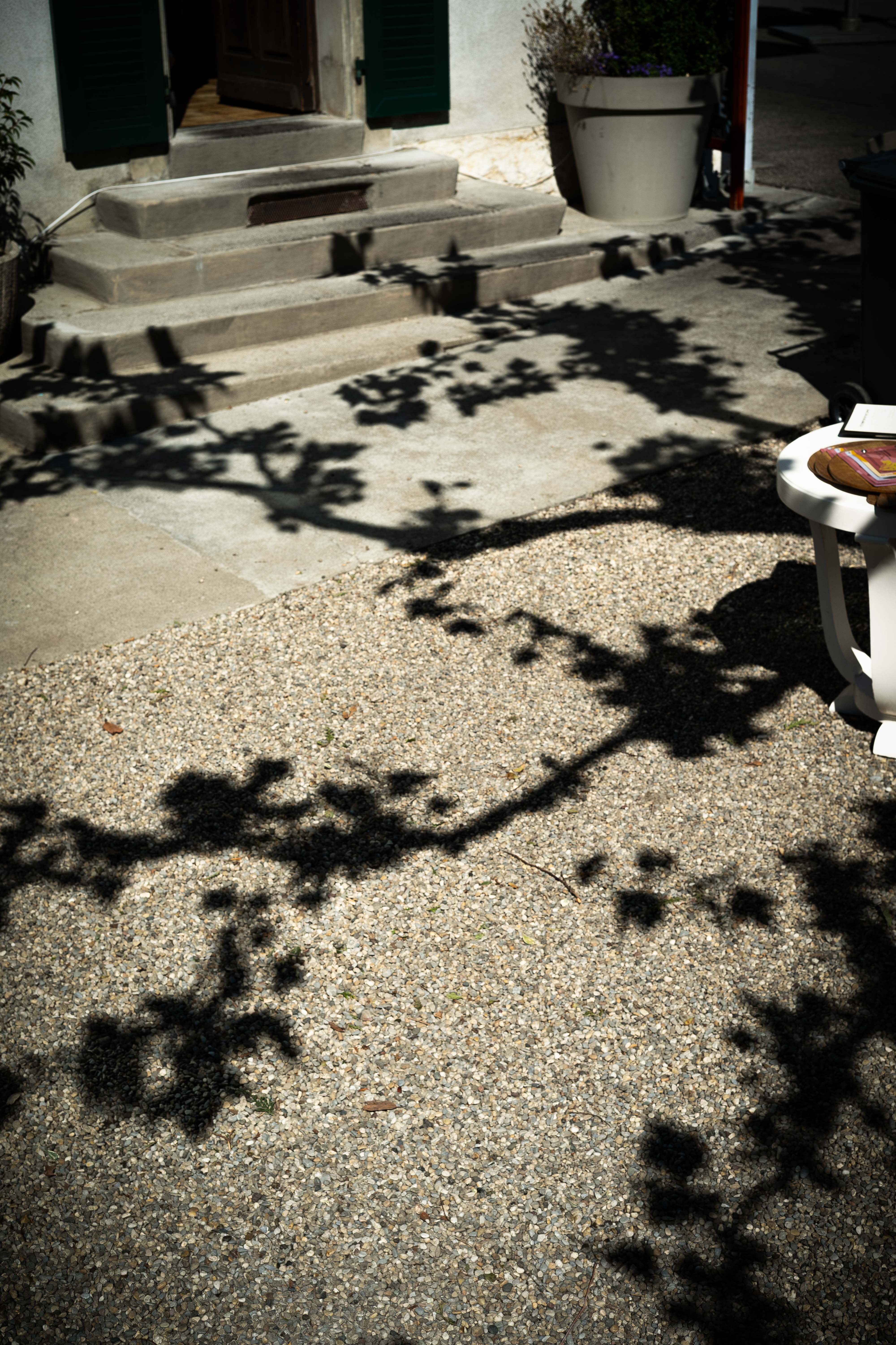 If Secret Garden — image 8