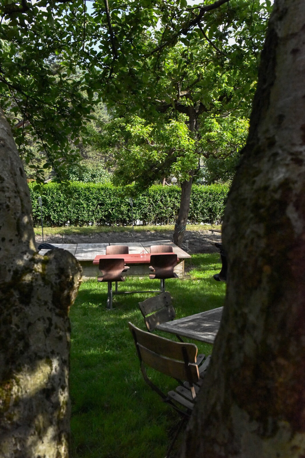 Les Jardins de la Cabine — image 1