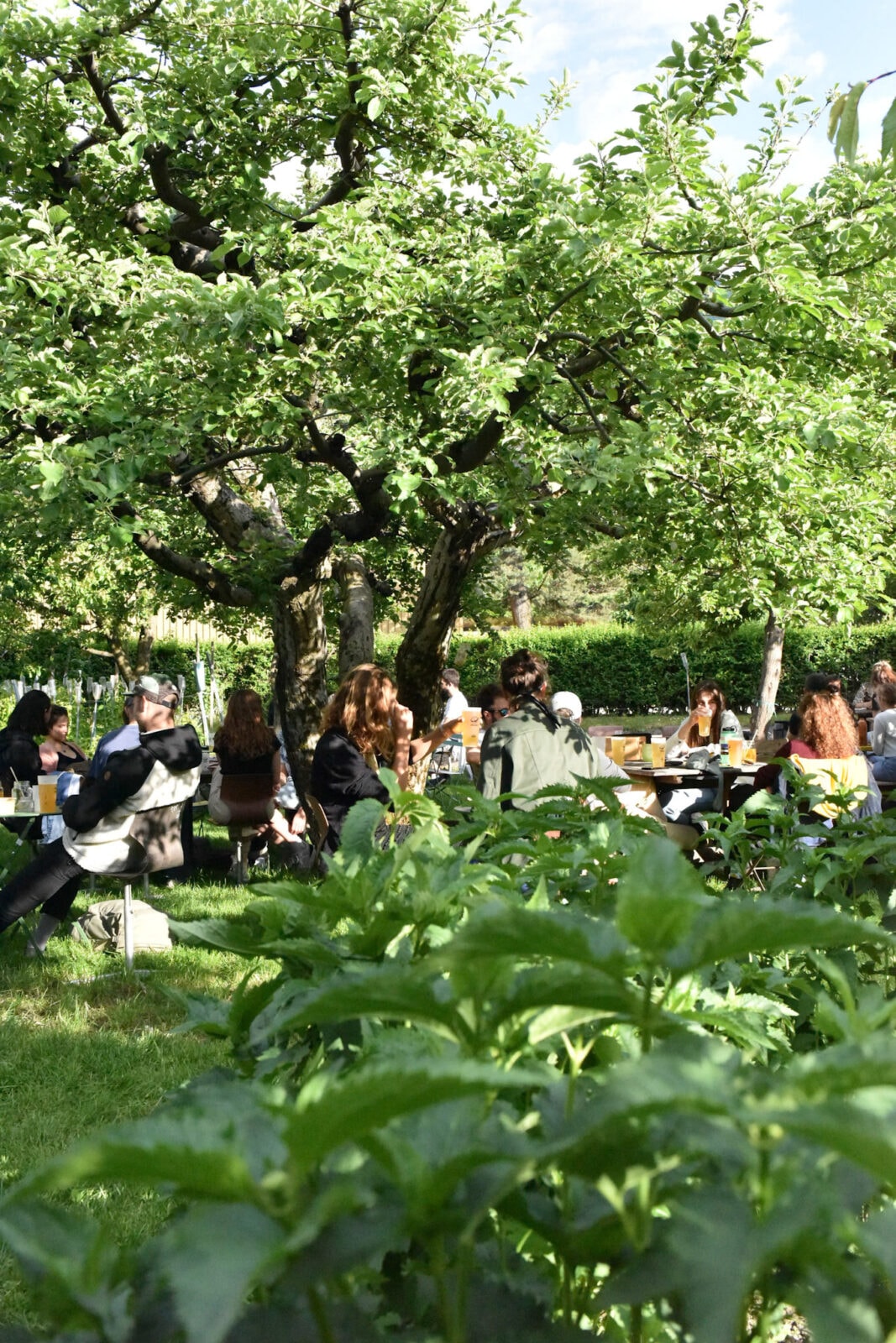 Les Jardins de la Cabine — image 3