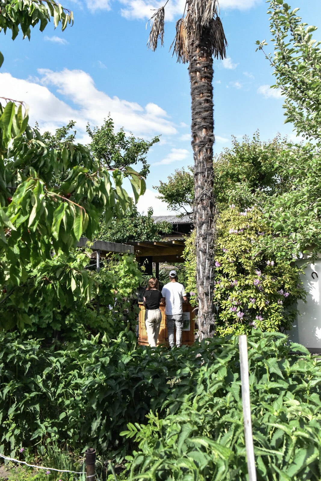 Les Jardins de la Cabine — image 8