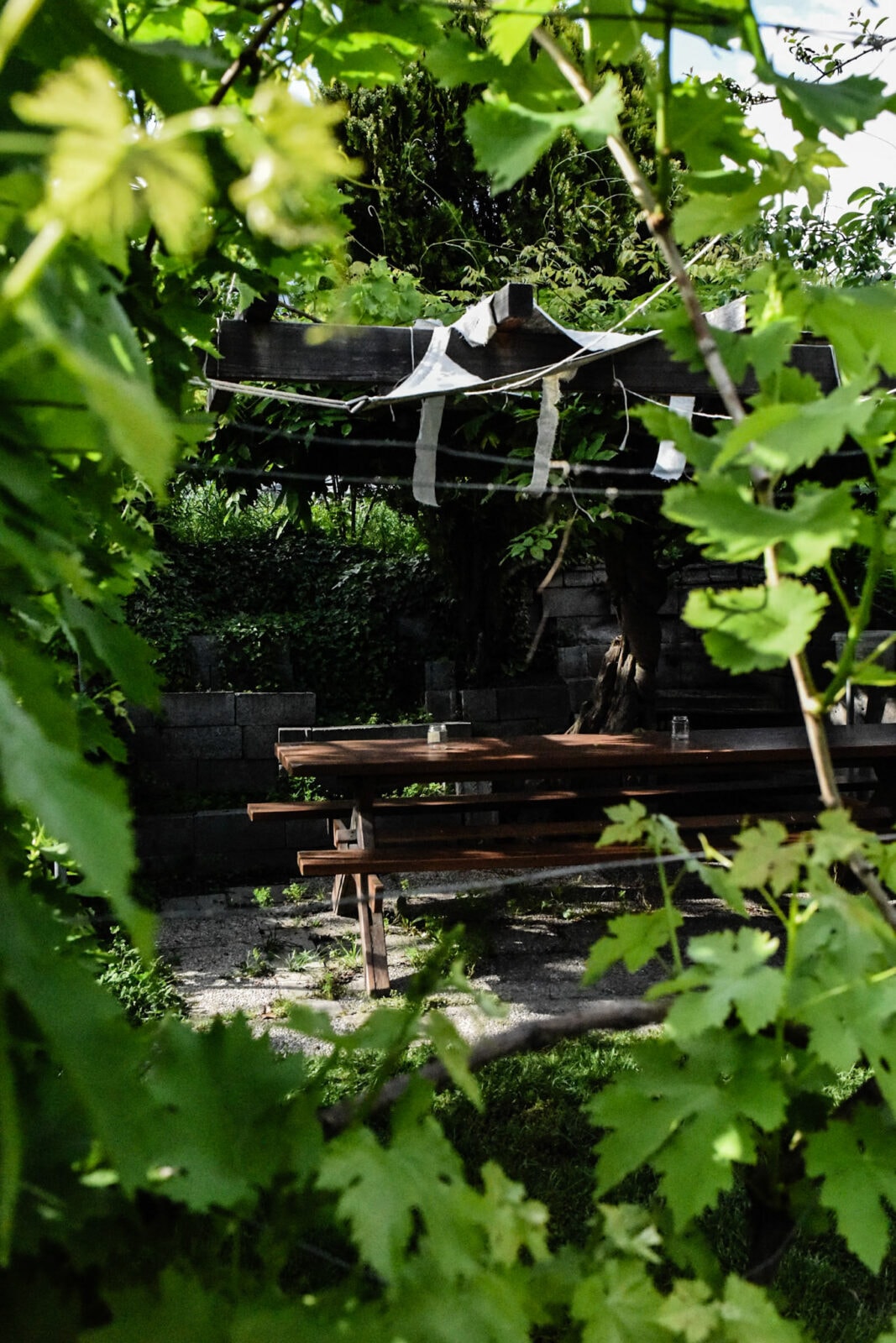 Les Jardins de la Cabine — image 6